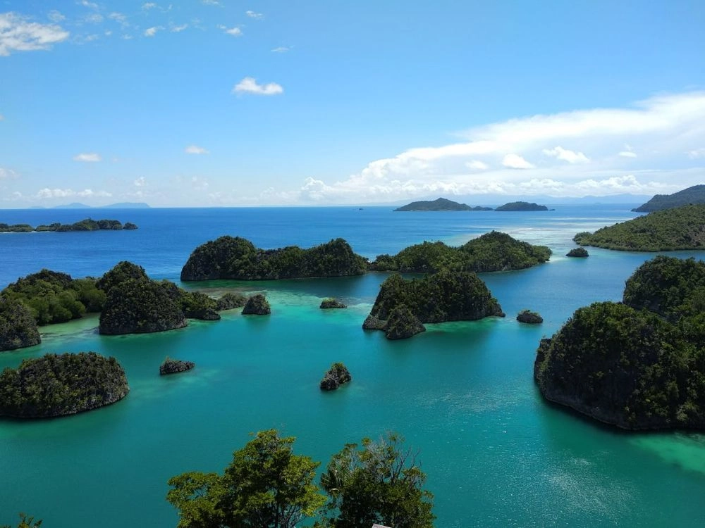 https://report.ferizy.com/uploads/news/berita/type_3_pexels-greenwish-10482395_(1)_20250114095739.webp
