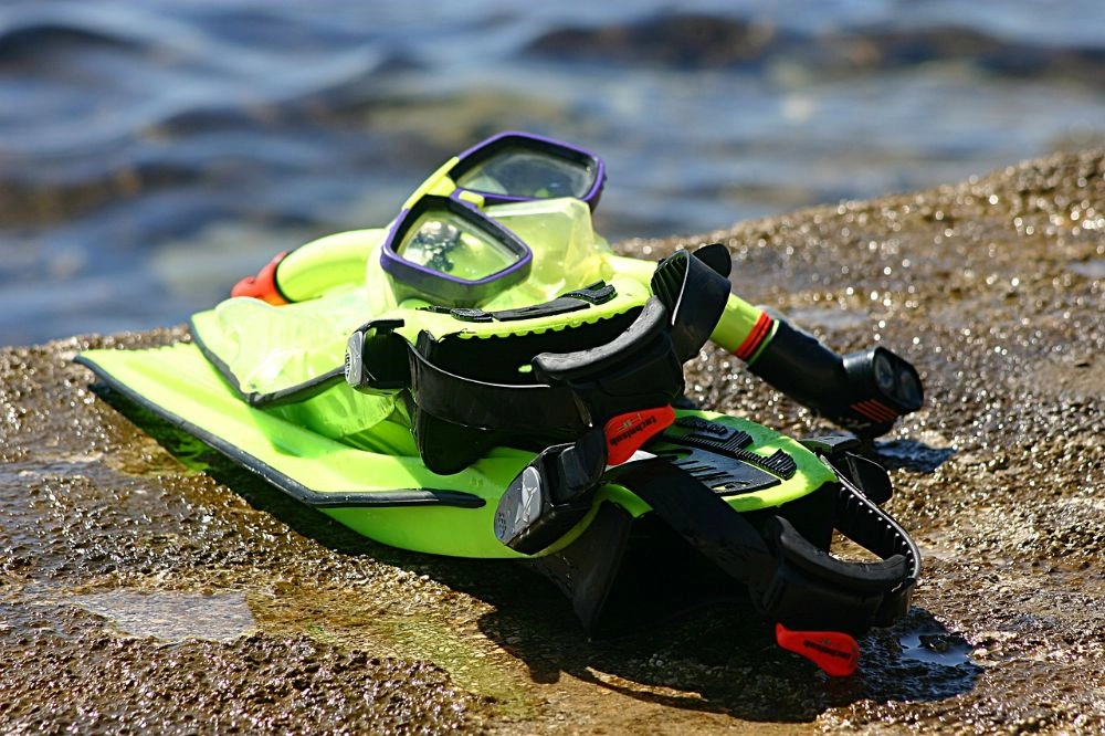 https://report.ferizy.com/uploads/news/berita/type_3_snorkle-79385_1280_(1)_20240719182917.webp